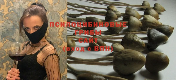 бутират Бугульма